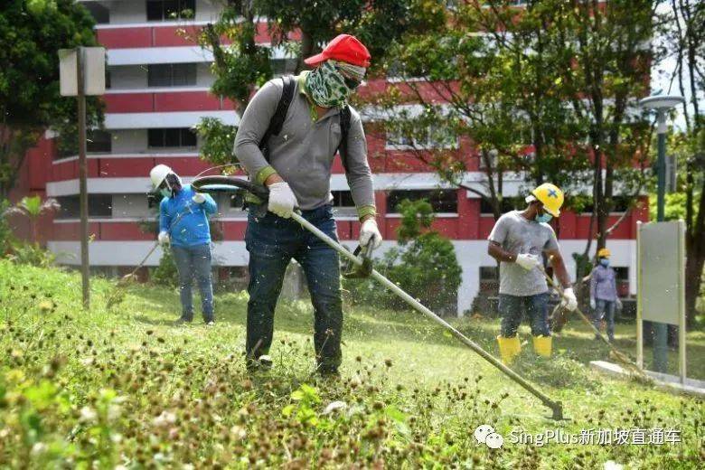 新加坡客工的难，绝不是从这次疫情开始的