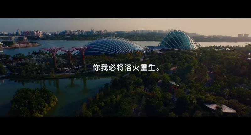 燃爆！新加坡发布视频，喊话世界：你我必将浴火重生