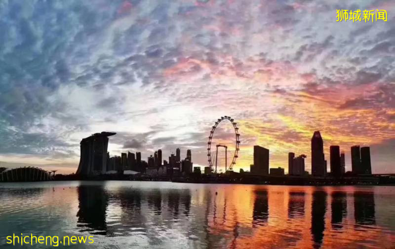 最近特别火的新加坡就业移民,PEF案例分析!精彩不容错过