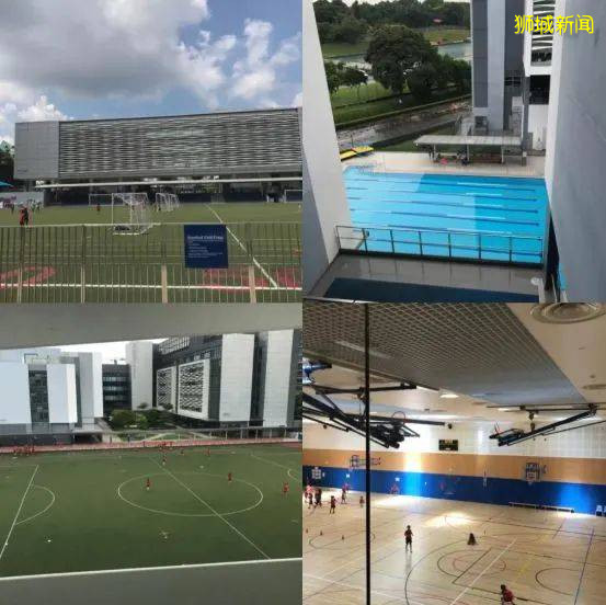 明星都选择的贵族国际学校，新加坡史丹福美国国际学校 SAIS