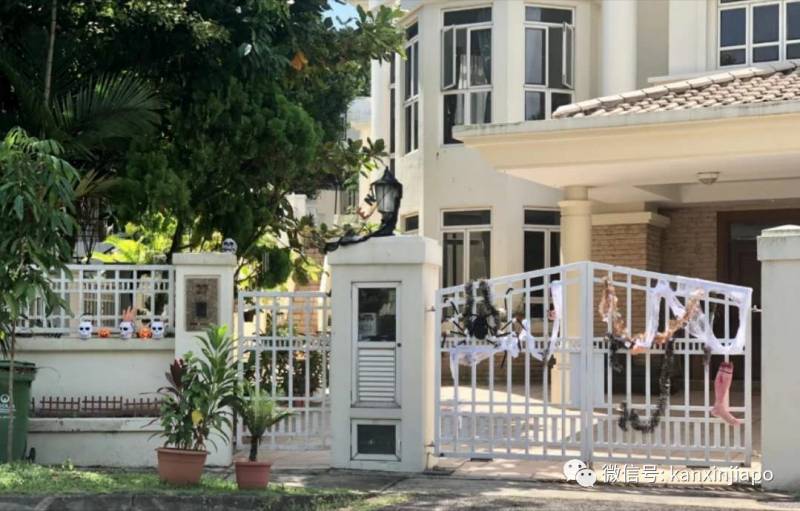 新加坡这条街，前晚出现大量蜘蛛和骷颅头