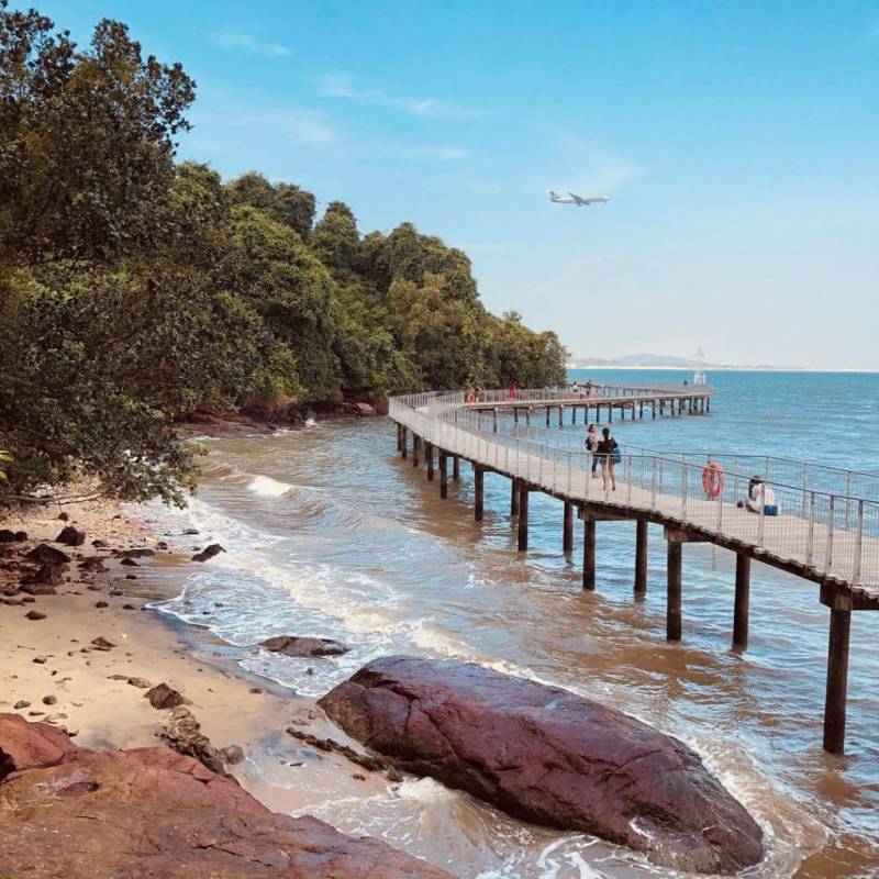 新加坡多元化自然生态！Chek Jawa Wetlands 岛上湿地公园🏝 徒步探索、沿海浮桥邂逅美景