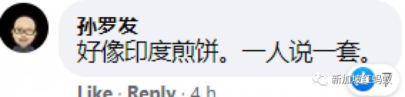 新加坡政府澄清可以继续挂国旗不会被罚款　网民：条规也翻煎饼