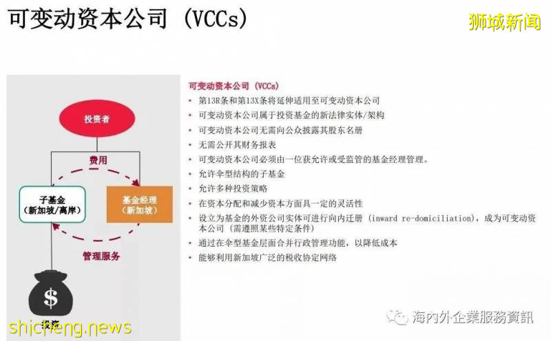 新加坡基金公司设立详解