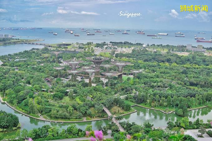 你为什么需要新加坡？旅行家、企业家、未来家来告诉你