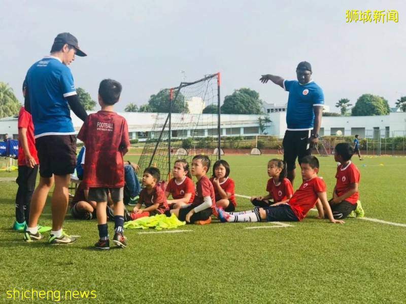 国内就有国际学校，为什么还要去新加坡