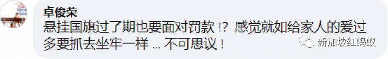 新加坡政府澄清可以继续挂国旗不会被罚款　网民：条规也翻煎饼