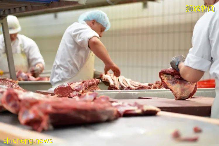 德国、美国肉类工厂确诊破1000、百事中国8人确诊！新加坡进口食品还安全吗