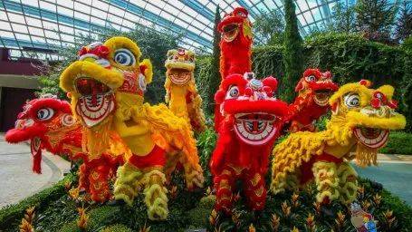 滨海湾花园新春花卉展【大丽花之梦】，1月15日开幕！喜气洋洋迎牛年