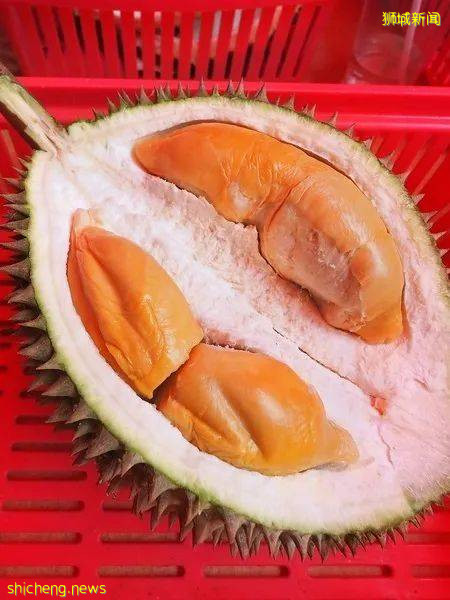 新加坡榴梿全攻略！实拍挑战芥末和烧烤榴梿！太刺激了