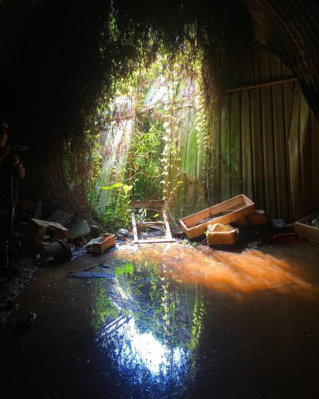 🚥通往裕廊的废弃铁路🚞 新加坡隐秘的角落,徒步探险、摄影爱好者秘密基地 🧭