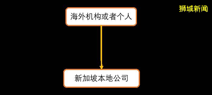 【新加坡公司注册小知识】新加坡独资和合资公司结构，选哪个