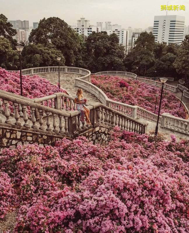 狮城出片率最高的野餐地，收藏起来，周末和朋友一起去吧