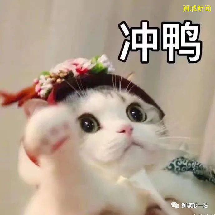 受疫情影响,经济困难,无法按时支付房贷/信用卡账单怎么办