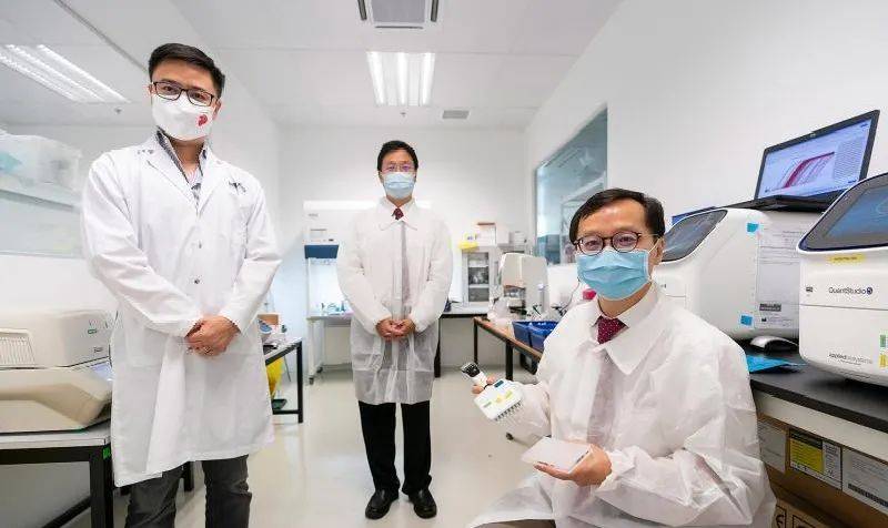 新加坡国立大学又双叒叕研发出新科技：胃癌血液检测法，准确率达87%
