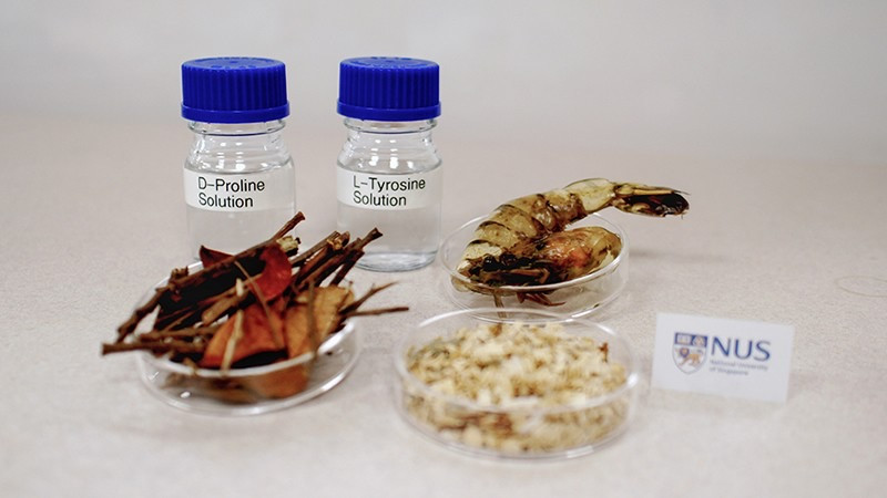 厉害！国大研究团队将木材和虾蟹壳转制成药物