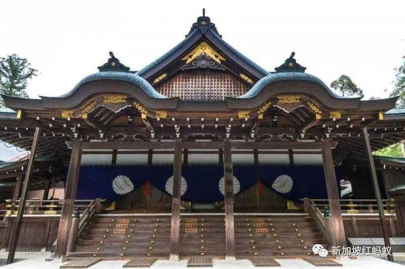 两中学男生为寻找日本神社遗址，在新加坡蓄水池森林迷路“神隐”