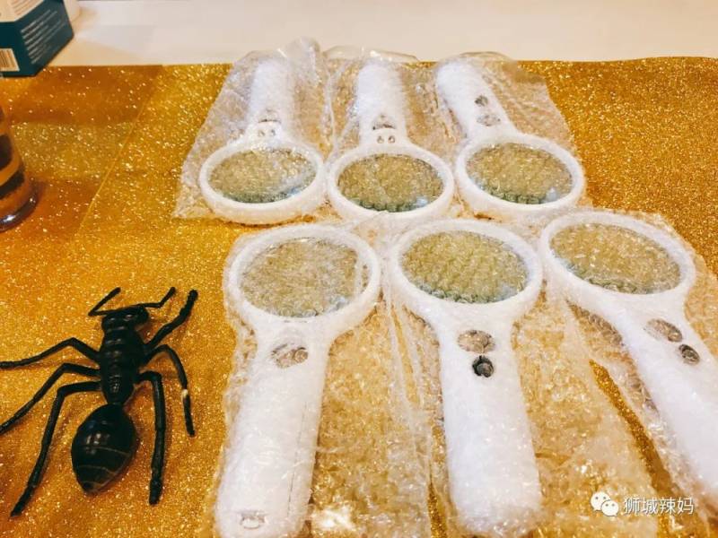 亚洲第一的蚂蚁博物馆居然在新加坡