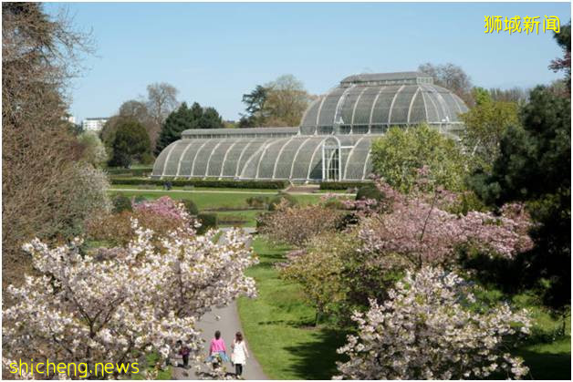 新加坡植物园（上）