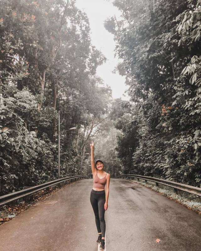 新加坡“麦里芝蓄水池 MacRitchie Reservoir”深度游！自然仙境、徒步指南、周边活动逐个看