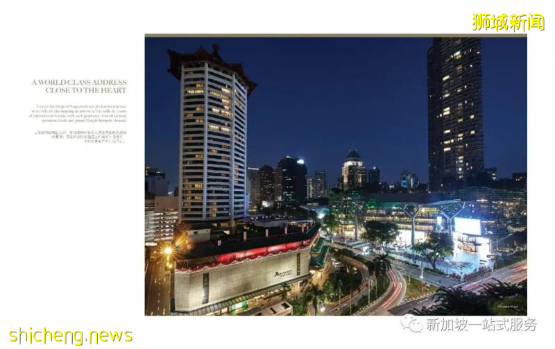 最美丽的自然风光: 新加坡植物园