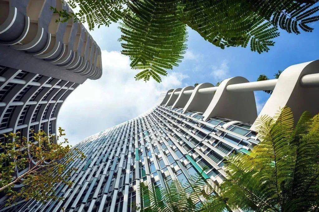 新加坡Wifi哪家强？教你如何get最划算套餐