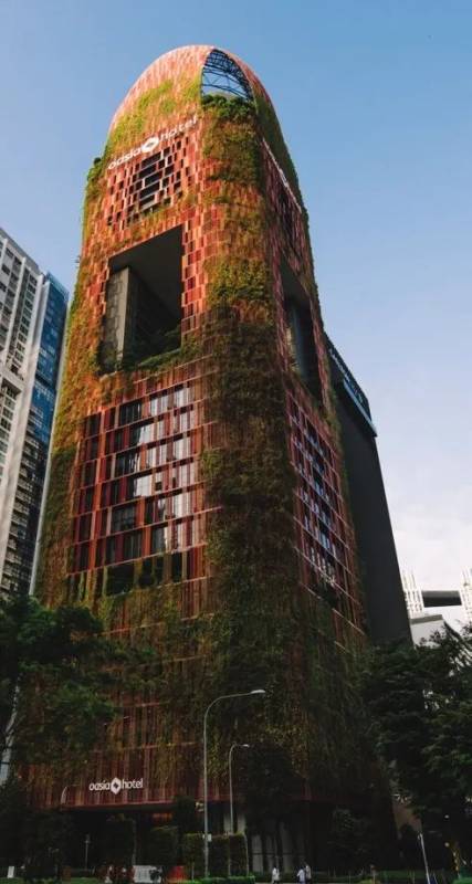 开扒 《西部世界3》《摘金奇缘》狮城取景点大揭秘，你都发现了吗