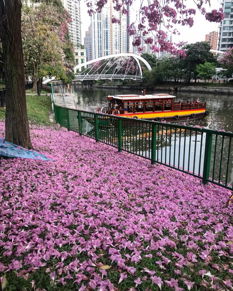 NParks-Robertson Quay.jpg