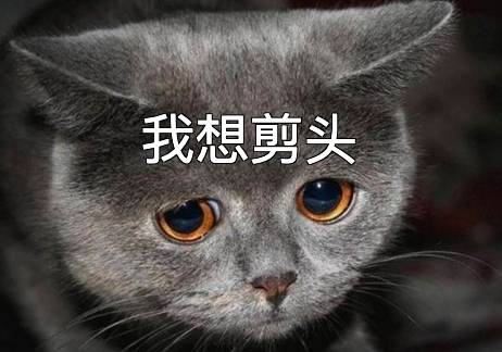 对新加坡Tony老师绝望了？8家靠谱理发店盘点，附理发常用英文