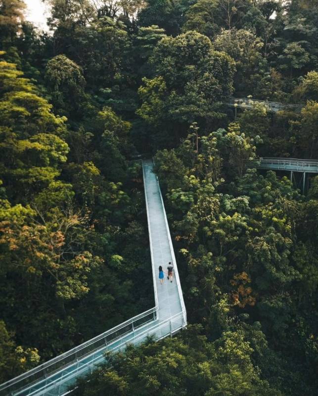 Southern Ridges 南部山脊，新加坡自然景观带！穿梭4座园区、多样化徒步线路🌳 沿路景点大合集