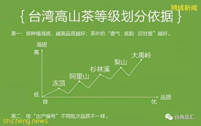 新加坡科技研究证明: 喝茶可以保护大脑