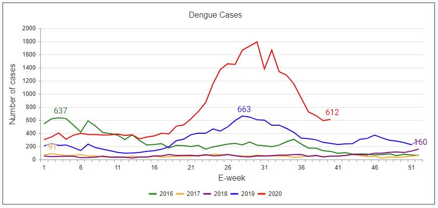 新增612例！本地上周登革热病例有所回升