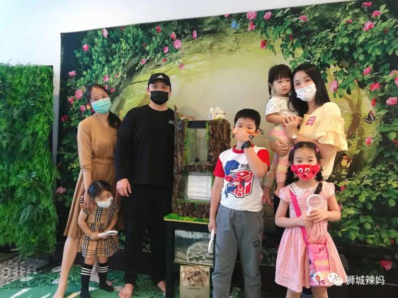 亚洲第一的蚂蚁博物馆居然在新加坡