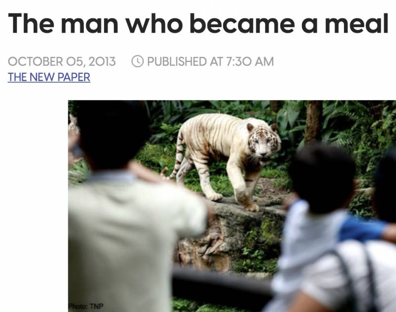 残忍！上海动物园熊吃人，亲眼目睹！新加坡也发生过类似案件！印度最惨