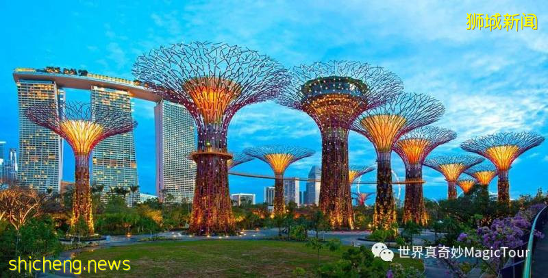 新加坡 带您走进新加坡滨海湾花园