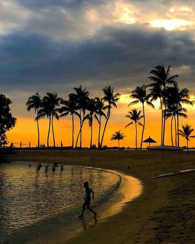圣淘沙全新配套！超IN 夜间游艇，探索南部岛屿 🌊 1小时海上巡游+免费鸡尾酒🍸