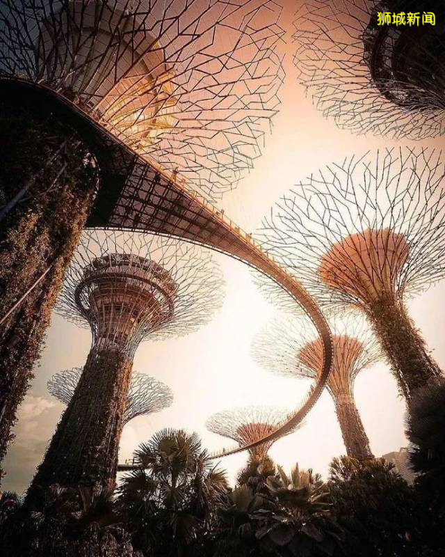 新加坡海湾公园 / Grant Associates