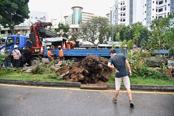 狮城昨午多区水灾 出现巨型积雨云 树倒车抛锚