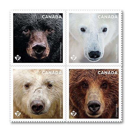 bears-stamps.jpg