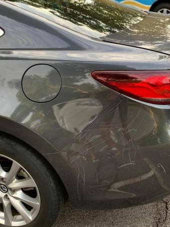 孔雀把汽车当“画板” 网赞：艺术家