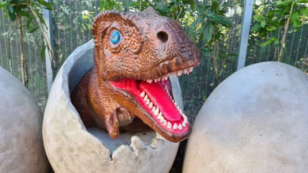 【女佣看恐龙被高球击倒】樟宜侏罗纪步道 装2米高安全网避横祸