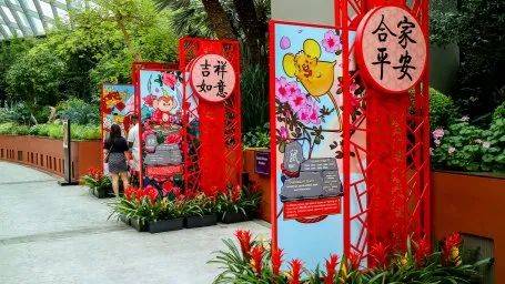 滨海湾花园新春花卉展【大丽花之梦】，1月15日开幕！喜气洋洋迎牛年