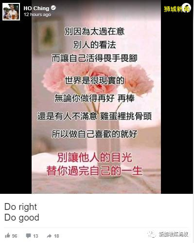 新加坡总理夫人一句“做贼心虚”，引网友猜测谁是“贼”