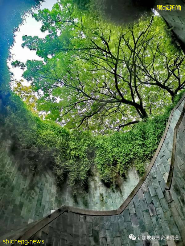 【狮城万象】坡岛十大打卡胜地