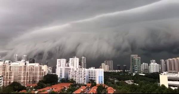 狮城昨午多区水灾 出现巨型积雨云 树倒车抛锚