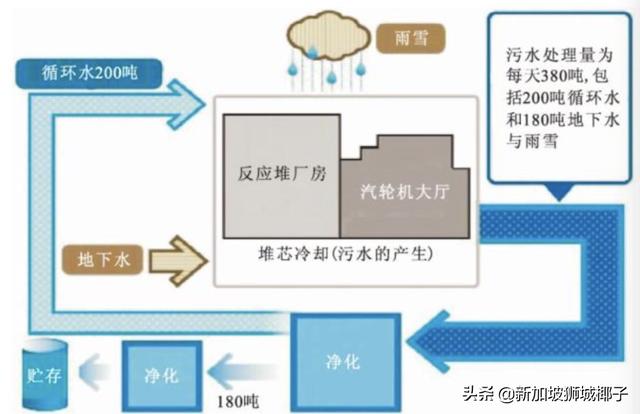 今天，日本官宣排核废水入海！将致癌、海鲜变异！新加坡网友怒了