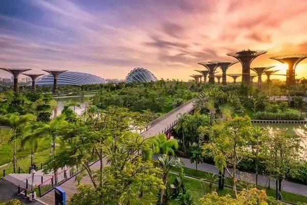 新加坡工签门槛提升?好处多多,移民者争相前往