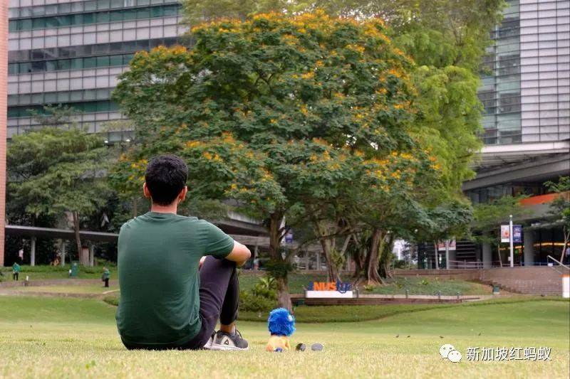 大学不是性骚扰的天堂，更不是法治与道德到不了的异乡，NUS该为校誉加把劲