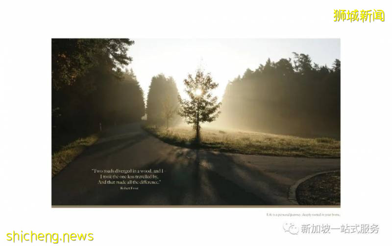 最美丽的自然风光: 新加坡植物园