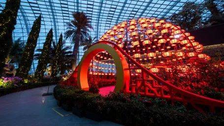 滨海湾花园新春花卉展【大丽花之梦】，1月15日开幕！喜气洋洋迎牛年